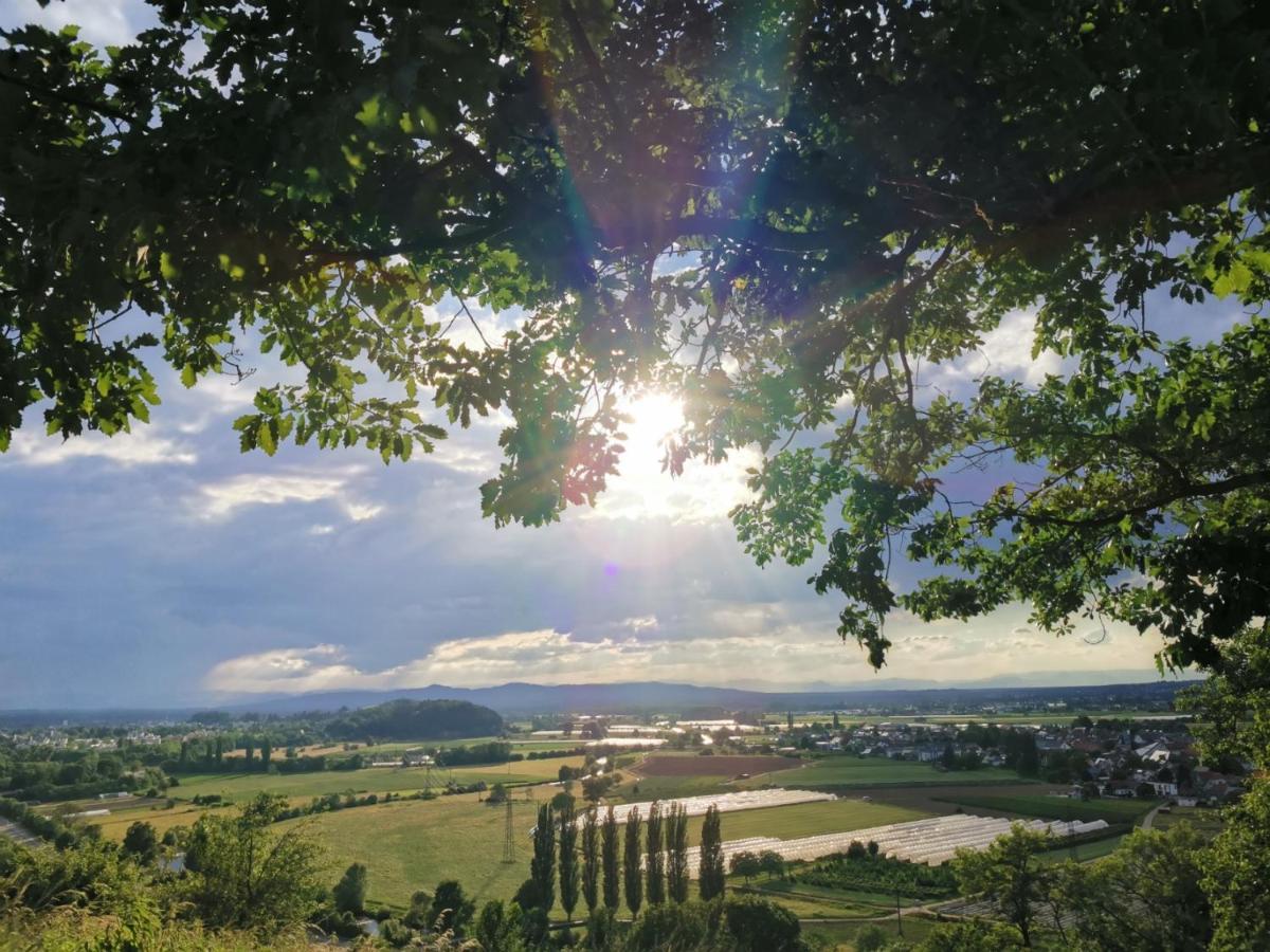 Hotel Suggenbad Waldkirch Luaran gambar